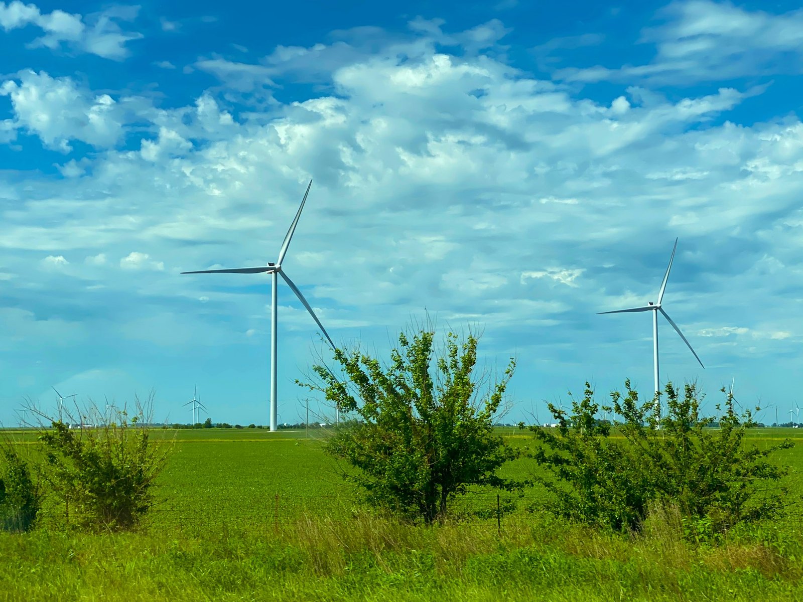 Green environment